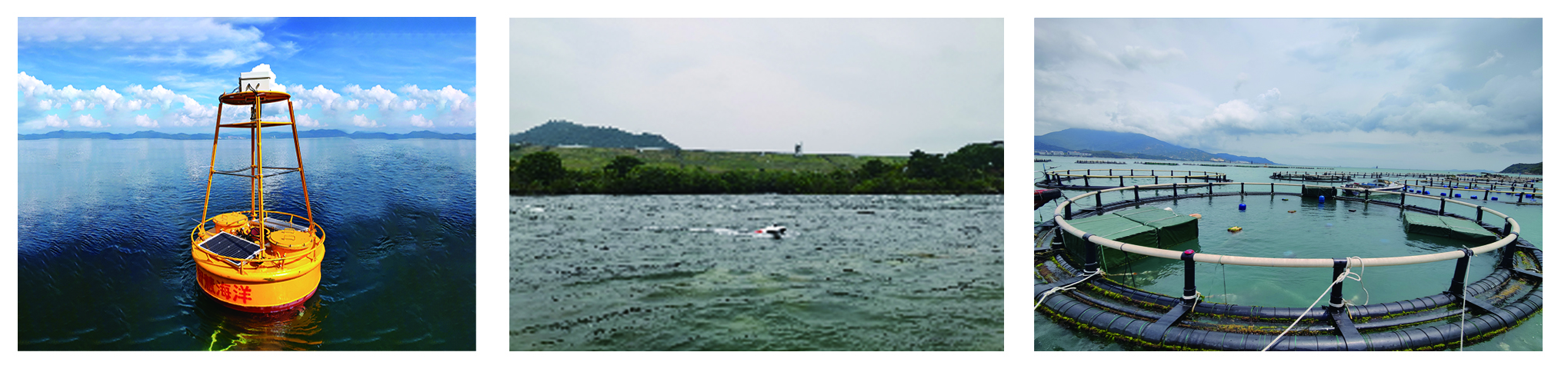 水(shuǐ)質營養鹽分析儀(圖2) 水(shuǐ)質營養鹽分析儀(圖2)